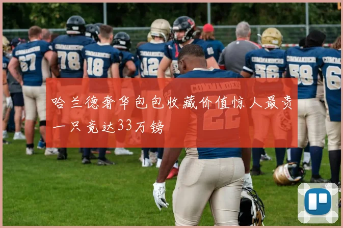 哈兰德奢华包包收藏价值惊人最贵一只竟达33万镑
